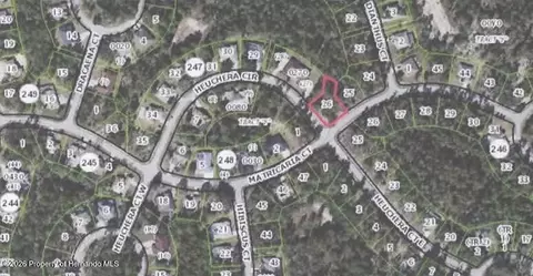 25 Matricaria Ct, Homosassa, FL 34446