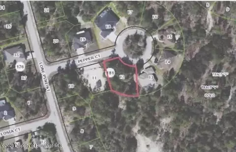 6 Pepper Ct, Homosassa, FL 34446