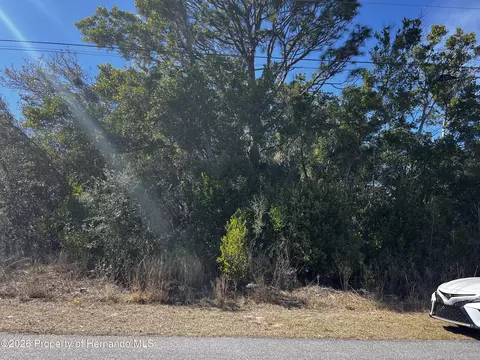 2293 Marietta Ave, Spring Hill, FL 34608