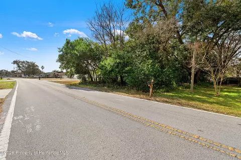 9028 Horizon Dr, Spring Hill, FL 34608