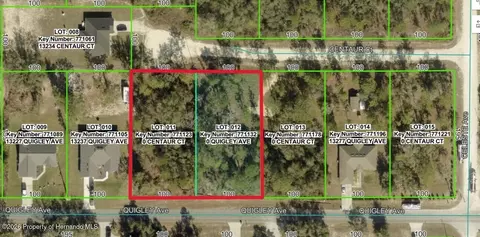 0 Quigley Ave, Weeki Wachee, FL 34614