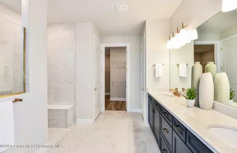 Entry Way - 16634 Harvest Leaf Rd, Shady Hills, FL 34610 photo 1 of 1