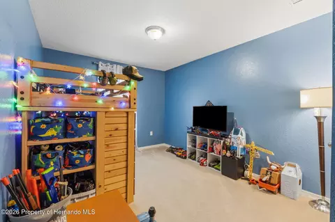 1170 Barger Ave, Spring Hill, FL 34608 photo 24