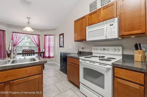 1170 Barger Ave, Spring Hill, FL 34608 photo 32