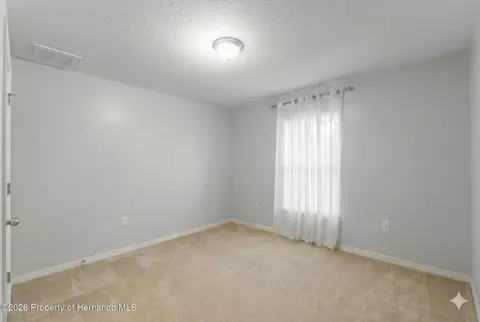 1170 Barger Ave, Spring Hill, FL 34608 photo 28