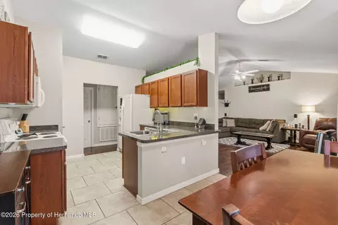 1170 Barger Ave, Spring Hill, FL 34608 photo 40
