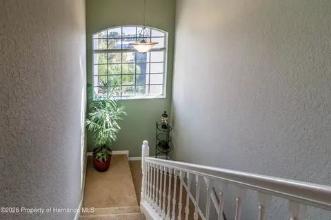 5100 Cedarbrook Ln, Hernando Beach, FL 34607 photo 44