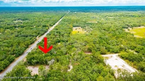 7466 Treiman Blvd, Webster, FL 33597 photo 3