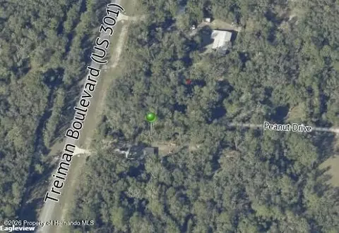 7466 Treiman Blvd, Webster, FL 33597 photo 2