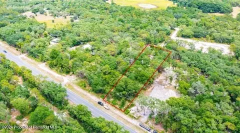 7466 Treiman Blvd, Webster, FL 33597 photo 6