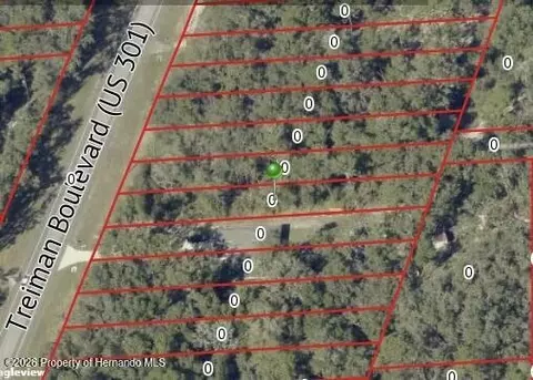 7466 Treiman Blvd, Webster, FL 33597 photo 8