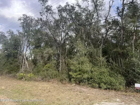 7466 Treiman Blvd, Webster, FL 33597 photo 4
