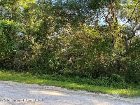 34085 Arrowrock St, Webster, FL 33597