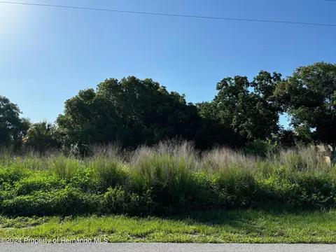 9004 Beach Rd, Spring Hill, FL 34606