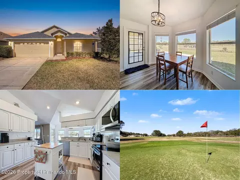 17429 Eagle Trace Dr, Brooksville, FL 34604