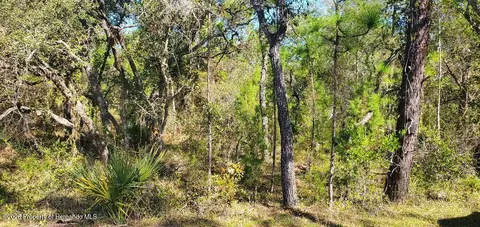 lot56 Michigan Ave, Weeki Wachee, FL 34613