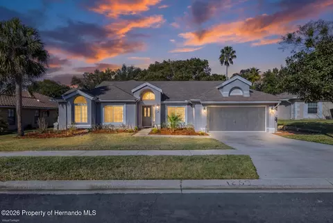 1269 Masada Ln, Spring Hill, FL 34608