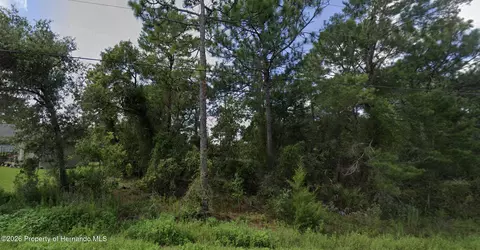 11272 Gallinule Ave, Weeki Wachee, FL 34613