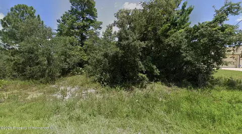 10391 Fulton Ave, Weeki Wachee, FL 34613