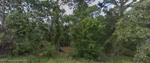11260 Gallinule Ave, Weeki Wachee, FL 34613
