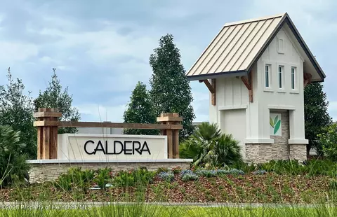 Other - 4156 Feldspar Ln, Spring Hill, FL 34609 photo 10 of 10