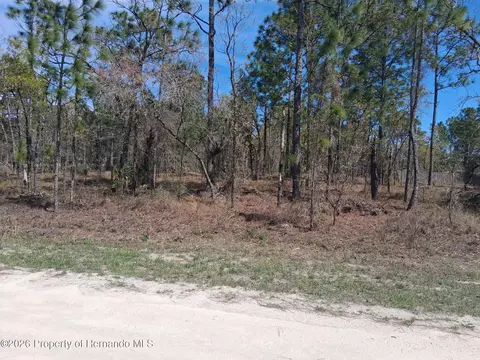 0 Green Jay Rd, Brooksville, FL 34614
