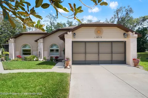 6713 Oak Cluster Cir, Spring Hill, FL 34606