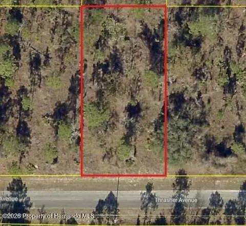 0 Thrasher Ave, Weeki Wachee, FL 34614