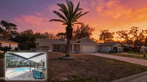4498 Plumosa St, Spring Hill, FL 34607
