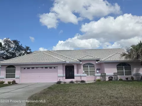 9376 N Southern Belle Dr, Weeki Wachee, FL 34613
