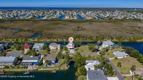 View/Area - 3460 Crape Myrtle Dr, Hernando Beach, FL 34607 photo 13 of 17