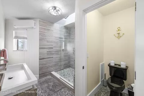 Bath - 3460 Crape Myrtle Dr, Hernando Beach, FL 34607 photo 3 of 5