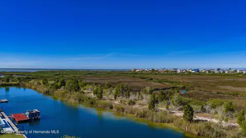 View/Area - 3460 Crape Myrtle Dr, Hernando Beach, FL 34607 photo 17 of 17