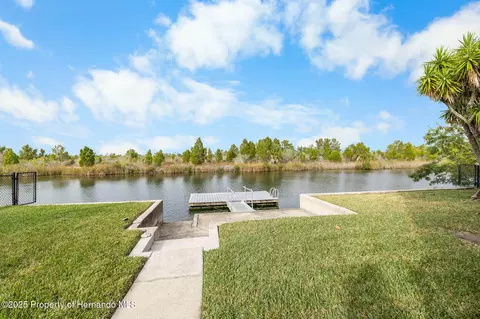 View/Area - 3460 Crape Myrtle Dr, Hernando Beach, FL 34607 photo 7 of 17