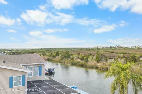 View/Area - 3460 Crape Myrtle Dr, Hernando Beach, FL 34607 photo 5 of 17