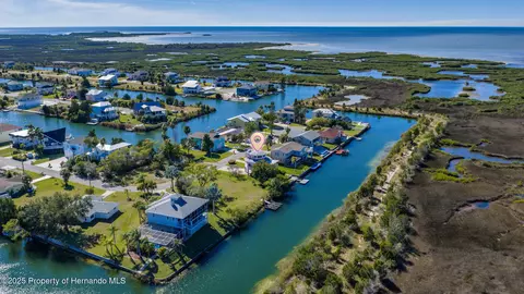 View/Area - 3460 Crape Myrtle Dr, Hernando Beach, FL 34607 photo 12 of 17
