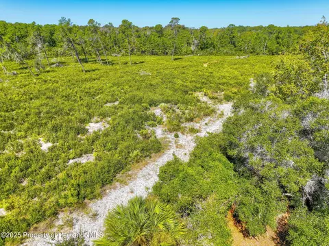 Other - 6502 River Run Blvd, Weeki Wachee, FL 34607 photo 10 of 12