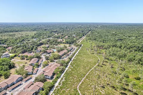 View/Area - 6502 River Run Blvd, Weeki Wachee, FL 34607 photo 8 of 12