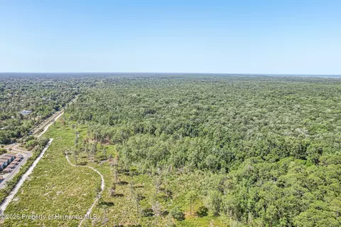View/Area - 6502 River Run Blvd, Weeki Wachee, FL 34607 photo 7 of 12