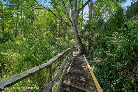 Other - 6502 River Run Blvd, Weeki Wachee, FL 34607 photo 14 of 22