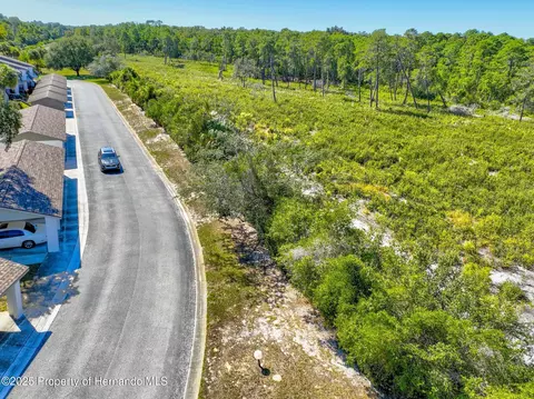 View/Area - 6502 River Run Blvd, Weeki Wachee, FL 34607 photo 2 of 6