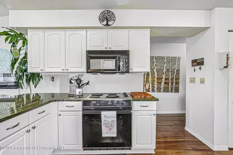 Kitchen - 6502 River Run Blvd, Weeki Wachee, FL 34607 photo 5 of 6
