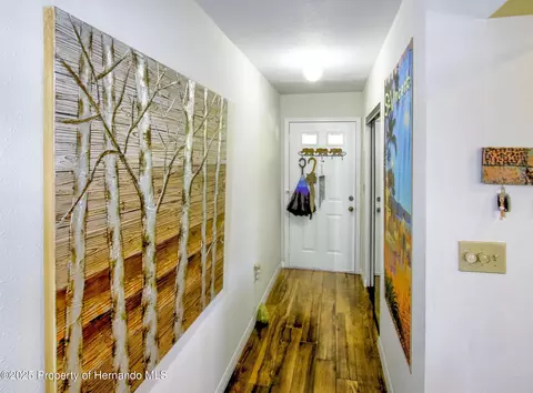 Entry Way - 6502 River Run Blvd, Weeki Wachee, FL 34607 photo 2 of 3