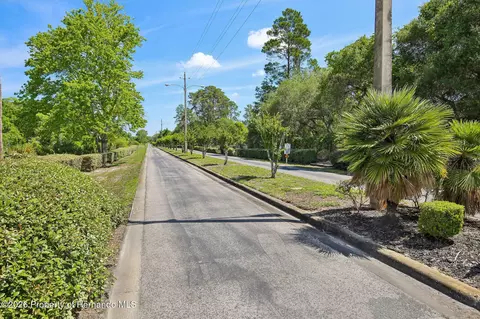 View/Area - 6502 River Run Blvd, Weeki Wachee, FL 34607 photo 11 of 12