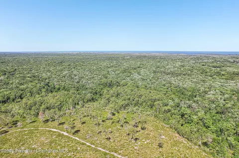 Other - 6502 River Run Blvd, Weeki Wachee, FL 34607 photo 9 of 22