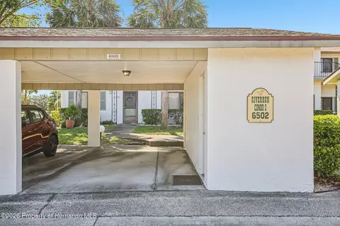 Other - 6502 River Run Blvd, Weeki Wachee, FL 34607 photo 2 of 22