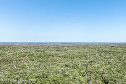 View/Area - 6502 River Run Blvd, Weeki Wachee, FL 34607 photo 9 of 12