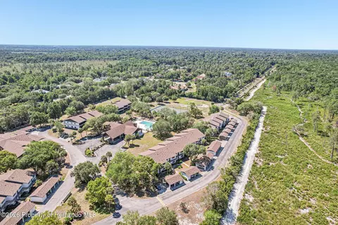 View/Area - 6502 River Run Blvd, Weeki Wachee, FL 34607 photo 3 of 12