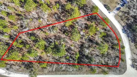 16070 Sheldrake Loop, Brooksville, FL 34614