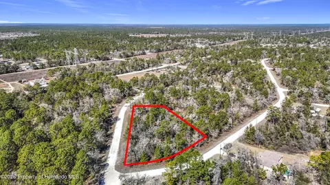 16070 Sheldrake Loop, Brooksville, FL 34614